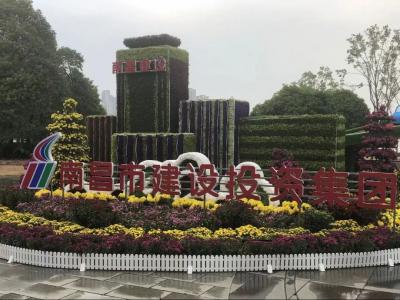 以菊为媒 以花为介 展现服务城市与发展之宗旨——市大发国际集团参展南昌市第三十四届菊花展