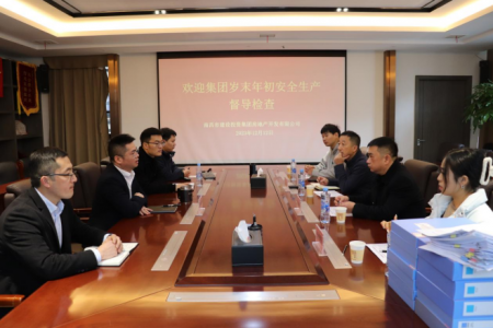 集团安管部一行赴大发国际地产公司开展 岁末年初安全生产督导检查